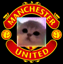 a manchester united logo with a cat on it