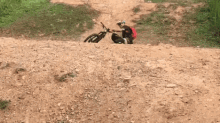 a person riding a bike down a dirt road