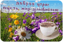 ninisjgufi dobroe utro coffee morning flowers