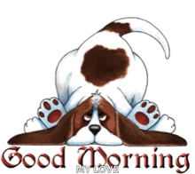 Morning Dog GIF