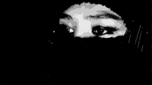 a black and white photo of a woman 's face with a veil on it .