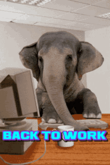 Working Back To Work GIF - Working Back To Work Elephant GIFs