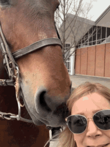 Horse Sniffing GIF - Horse Sniffing Selfie GIFs