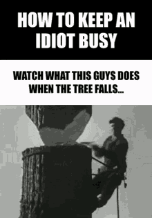 How To Keep An Idiot Busy Watch What Happend When The Tree Falls GIF