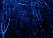 a painting of a dark forest with blue trees and white stars