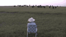 Lorde Cows GIF - Lorde Cows Trupet GIFs