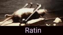 Ratin Rat Of Doom GIF