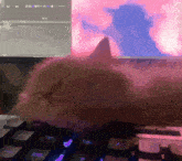 a cat is laying on a keyboard with a pink background
