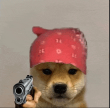 Meme Dog GIF - Meme Dog Animal GIFs