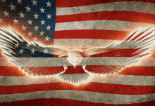 an american flag with a bald eagle flying in front of it