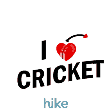 i love cricket cricket fever cricket love ipl ipl2020