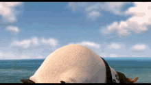 Out Of Chance Big Z GIF - Out Of Chance Big Z Surfs Up GIFs