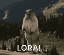 Lora Lora Cm GIF - Lora Lora Cm Loradavid GIFs