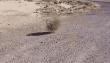 GIF