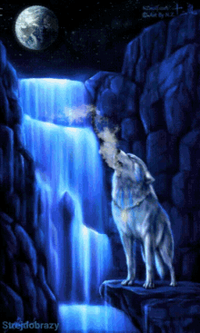 strejdobrazy wolf howling waterfalls