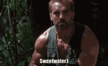 the word sweetwater that is on a graphic