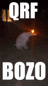 a picture of a dog with the words qrf bozo above it