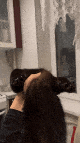 a person holding a black furry animal in their hands