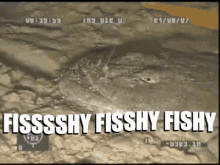 Fishy GIF - Fishy GIFs