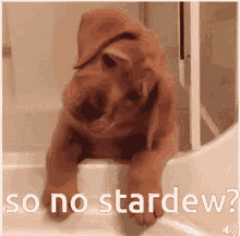 Stardew Valley Stardew GIF - Stardew Valley Stardew Sad Dog GIFs