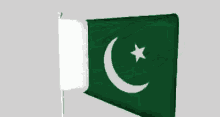 pakistan zindabad flag