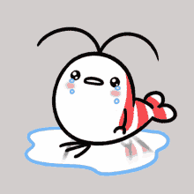 crying sad tears emotional shy shrimp