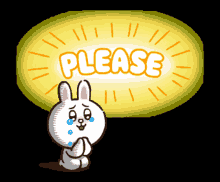 please cony