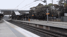 Obsessed With Trains Tangara GIF