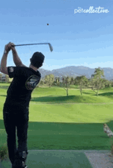 Swing The Pet Collective GIF - Swing The Pet Collective Golf GIFs