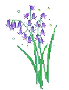 a bunch of purple flowers with green leaves on a white background