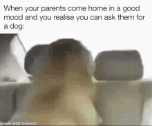 Pet Dog Meme GIF