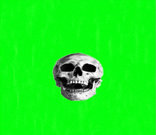 a skull is on a green screen with no teeth .