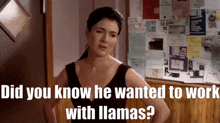 Corner Gas Lacey Burrows GIF - Corner Gas Lacey Burrows Did You Know He Wanted To Work With Llamas GIFs