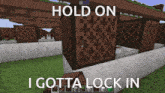 a screenshot of a minecraft game with the words hold on i gotta lock in
