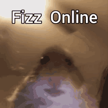 Fizz Online GIF - Fizz Online GIFs