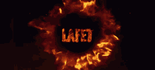 Lafet GIF - Lafet GIFs