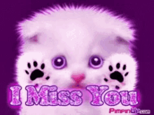 I Miss You Puppy GIF - I Miss You Puppy GIFs