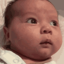 Wtf Baby Reaction Wow Baby GIF - Wtf Baby Reaction Wow Baby Disbelief GIFs