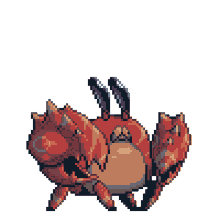 crab