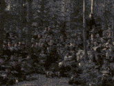 a large group of men are gathered in a forest