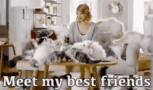 Taylor Swift Meet My Bestfriends GIF - Taylor Swift Meet My Bestfriends Cat Lady GIFs