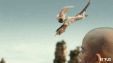 Flying Momo GIF - Flying Momo Avatar The Last Airbender GIFs