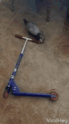 Gimme That Taking Scooter GIF - Gimme That Taking Scooter Steal GIFs