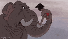 veramesi elephant told you mowgli told ya