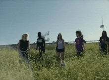 a group of young people are standing in a field of tall grass .