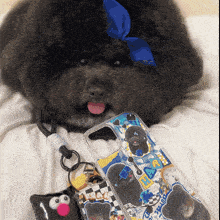 a dog with a blue bow laying next to a phone case that says r.a.