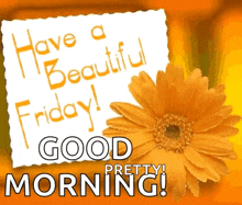 Good Morning Have A Beautiful Friday GIF - Good Morning Have A Beautiful Friday Good Day GIFs
