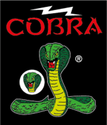 Cobra Vuurwerk GIF