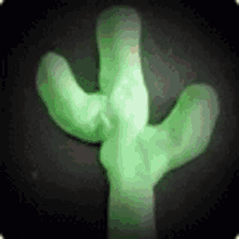 Cactus Mara GIF - Cactus Mara Queen Mara GIFs