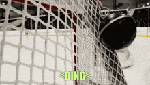 a hockey puck is stuck in a net with the word ding written below it